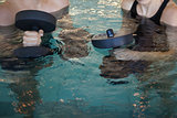 Man and woman holding foam dumbbells in the pool