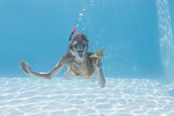 Cute blonde underwater in the swimming pool with snorkel and starfish