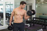 Shirtless focused bodybuilder lifting heavy black dumbbells