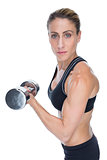 Female bodybuilder holding a large dumbbell looking at camera