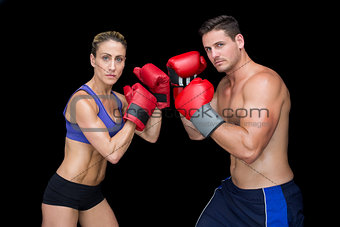 Bodybuilding couple posing with boxing gloves looking at camera