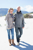 Smiling couple strolling on the beach in warm clothing