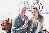 Couple enjoying white wine on picnic at the beach smiling at camera