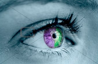 Purple and green eye on grey face