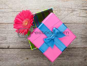 Purple gerbera flower in gift box
