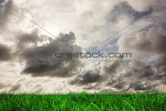 Green grass under grey sky