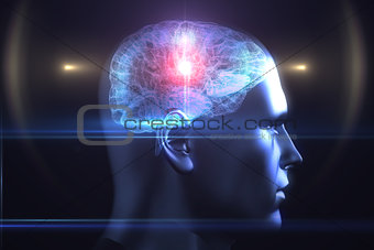 Brain diagram in human head