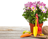 Potted flower and garden tools