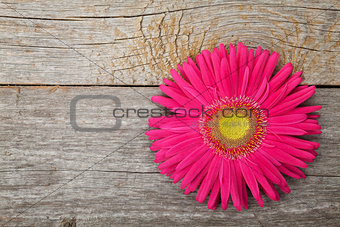 Gerbera flower over wooden table
