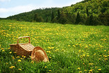 Picnic basket in the grass