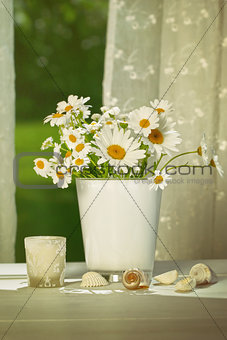 Summer daisies in front of window