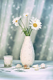 Summer daisies in vase