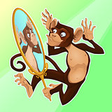 Funny monkey reflecting himself in a mirror. 