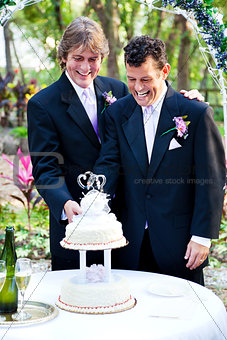 Grooms Cut the Wedding Cake
