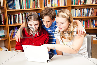 Library - Students on Computer
