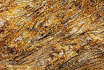 Yellowstone Geothermal Closeup