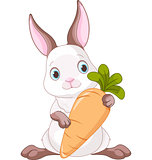 Bunny with Carrot 
