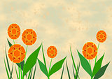Orange  Flowers