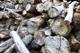 Dry chopped firewood logs stacked up in a pile