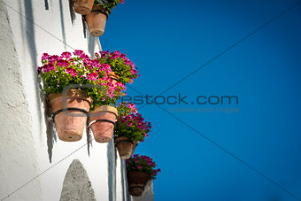 Flowerpots and Flowers on a white wall, Old European Town 