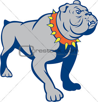 Angry Bulldog Standing Cartoon