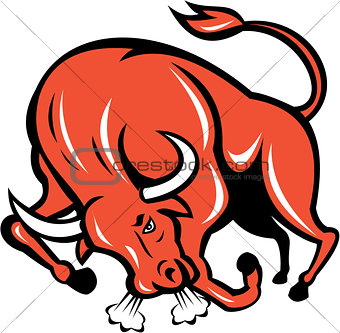 Angry Bull Charging Cartoon