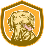 Labrador Dog Head Shield Woodcut