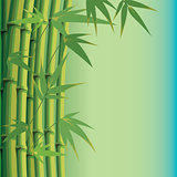 background with bamboo leaves and stems