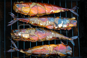 Smoked fish on grille in a smoker on black background