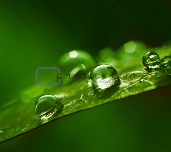 Water drops green abstract