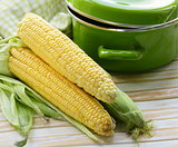 ripe yellow corn and green pan on a wooden background