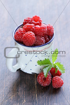 juicy ripe red berry raspberries on wooden background