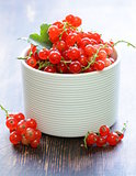 ripe red currants in a white bowl