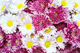 Bouquet of colorful ox-eye-daisy and chrysanthemum flowers