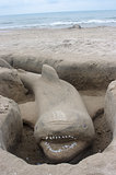 Sand shark on the beach