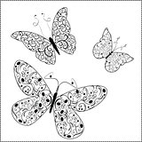 Vector Ornament butterflies