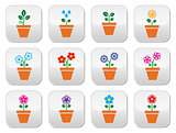 Flower, plant in pot vector colorful icons set