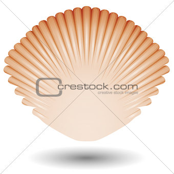 Sea shell icon