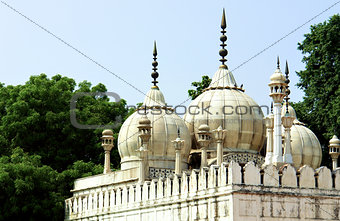 Pearl Mouque 'moti-masjid'. India