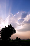 sunlight rays and dark clouds on the sky