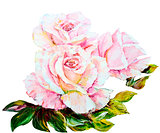 Beautiful Roses, oil painting on canvas