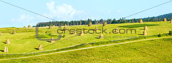 Summer mountain rural panorama with haystacks (Carpathian, Ukrai