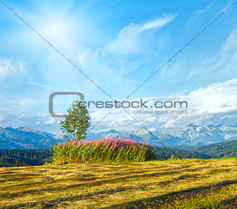 Sunshine above summer mountain country mown field