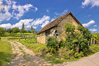 Vineyards and mud made cottage