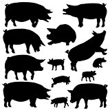 Pig silhouettes