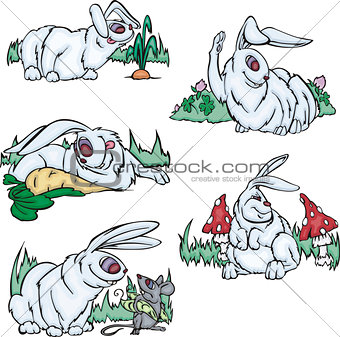 Funny gray rabbits