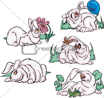 Funny pink rabbits