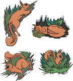 Comic squirrels