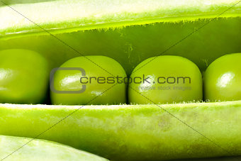 Open Fresh Pea Pod, Macro