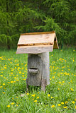 Old bee hive